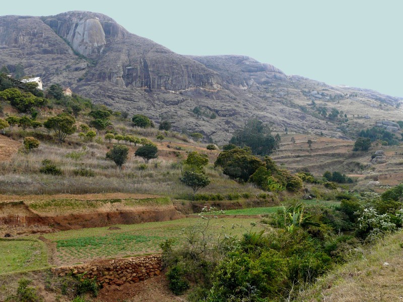 MA07090 copie.jpg